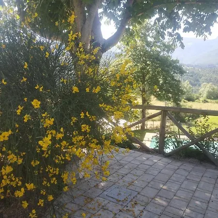 Casa Bonucci